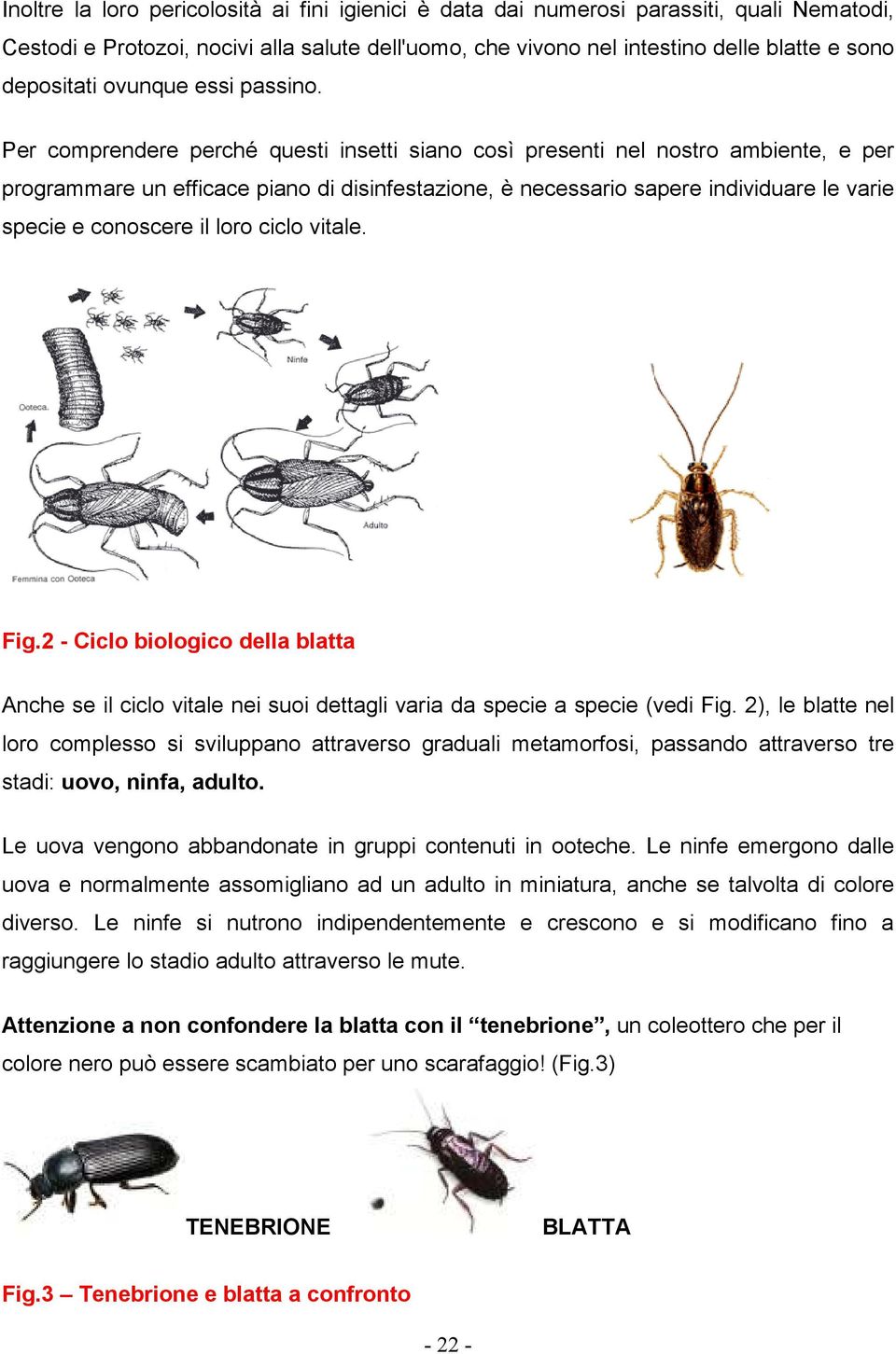 Per comprendere perché questi insetti siano così presenti nel nostro ambiente, e per programmare un efficace piano di disinfestazione, è necessario sapere individuare le varie specie e conoscere il