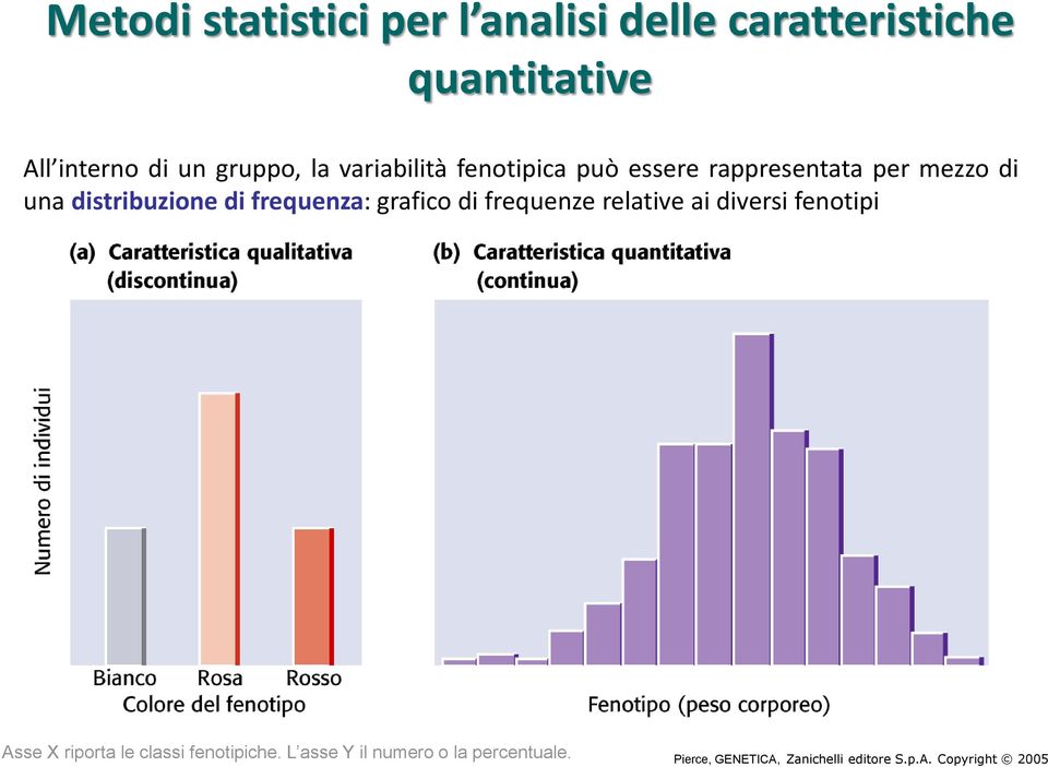 frequenza: grafico di frequenze relative ai diversi fenotipi Asse X riporta le classi