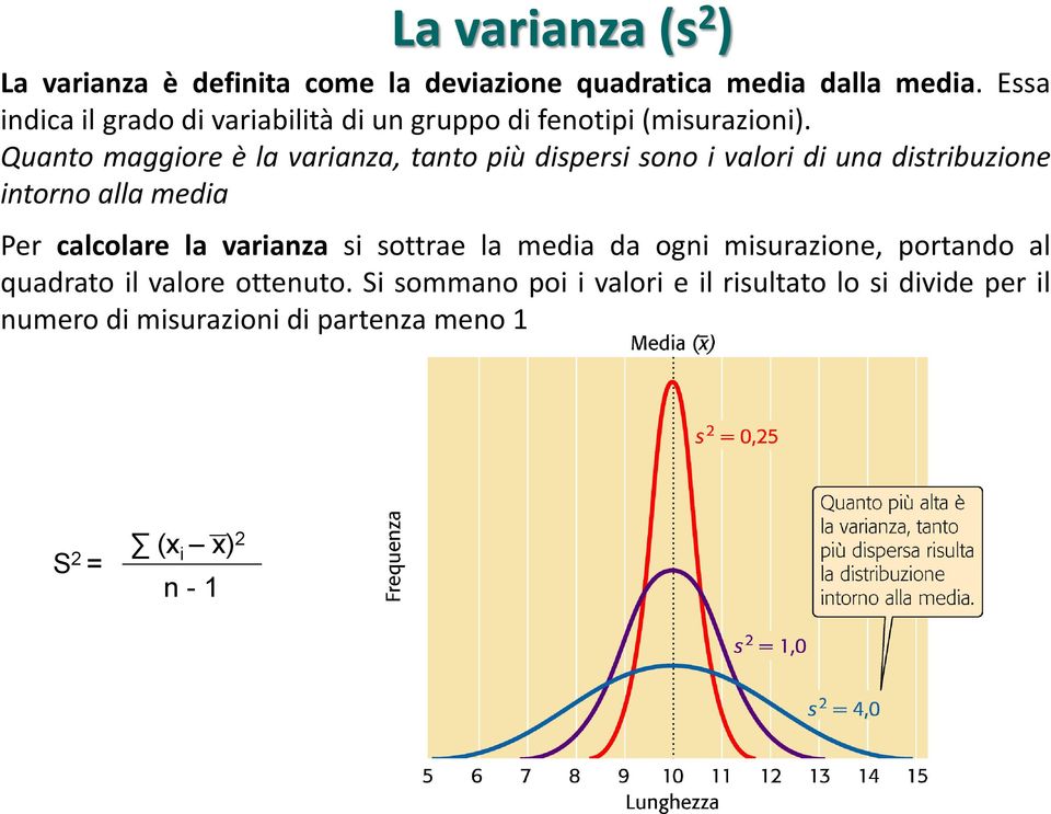 Quanto maggiore è la varianza, tanto più dispersi sono i valori di una distribuzione intorno alla media Per calcolare la