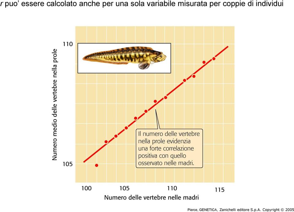 coppie di individui Pierce,