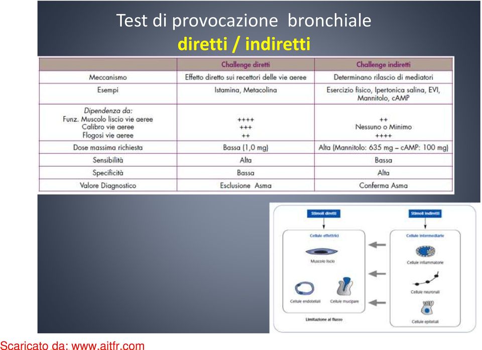 bronchiale