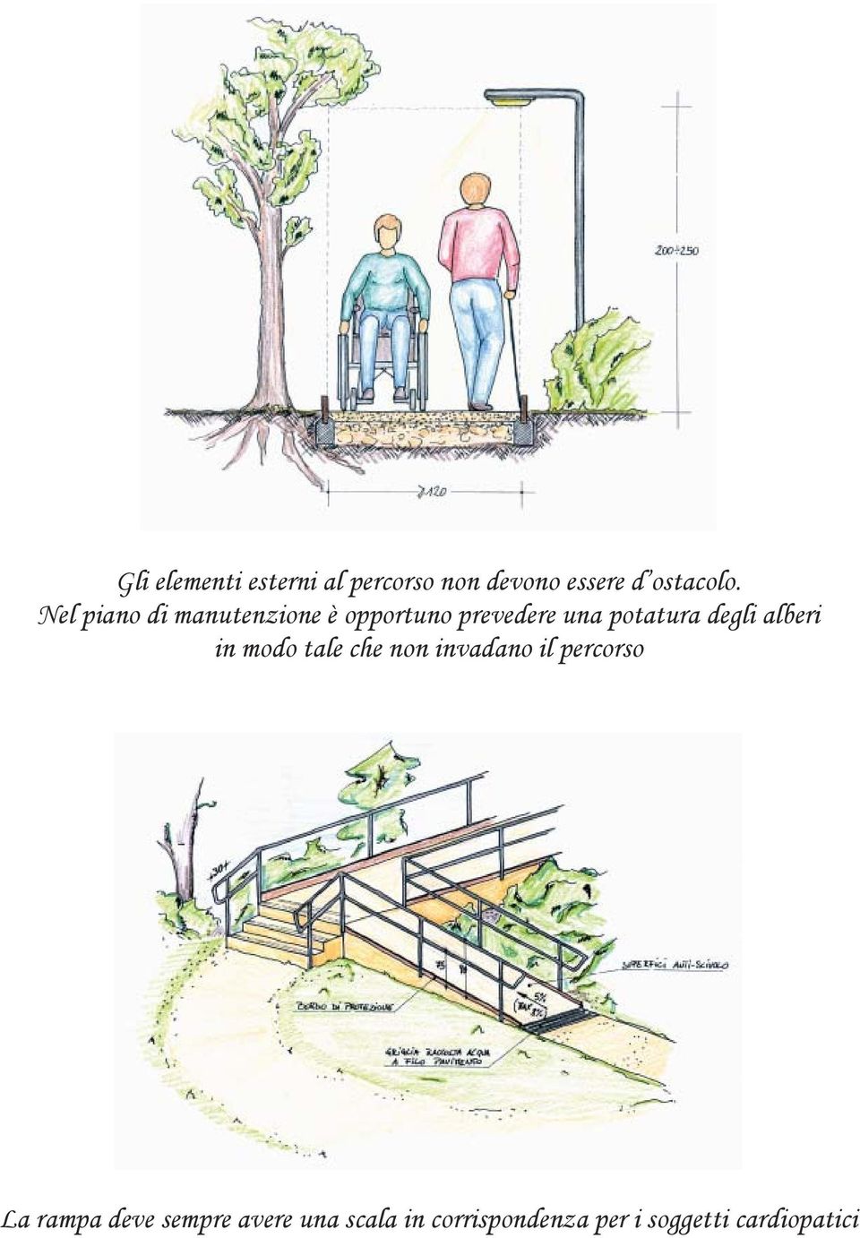 degli alberi in modo tale che non invadano il percorso La rampa