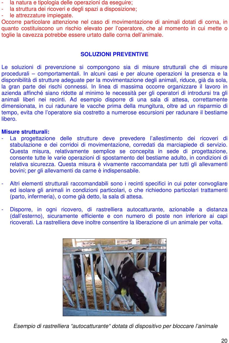 potrebbe essere urtato dalle corna dell animale. SOLUZIONI PREVENTIVE Le soluzioni di prevenzione si compongono sia di misure strutturali che di misure procedurali comportamentali.