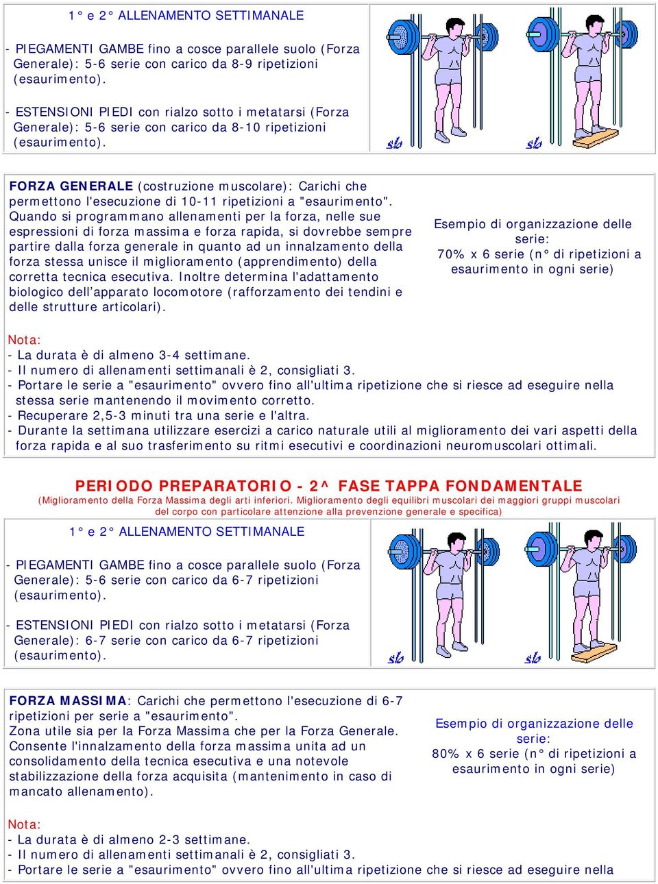 Quando si programmano allenamenti per la forza, nelle sue espressioni di forza massima e forza rapida, si dovrebbe sempre partire dalla forza generale in quanto ad un innalzamento della forza stessa