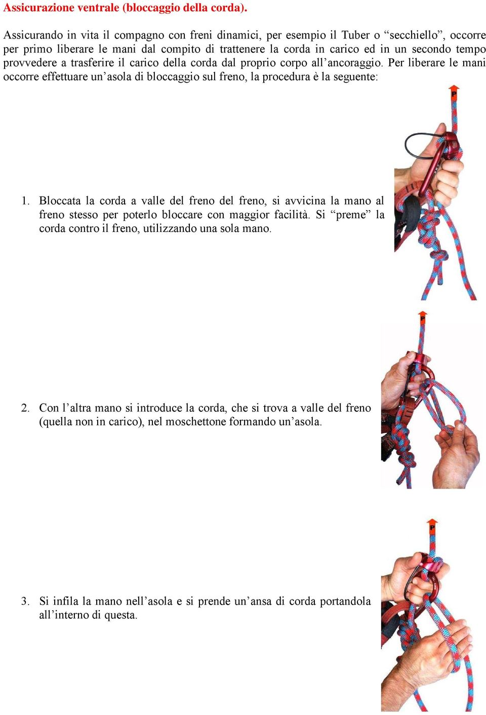 provvedere a trasferire il carico della corda dal proprio corpo all ancoraggio. Per liberare le mani occorre effettuare un asola di bloccaggio sul freno, la procedura è la seguente: 1.