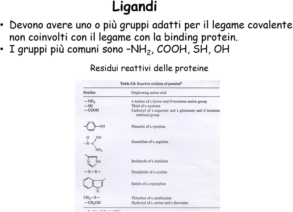 con la binding protein.