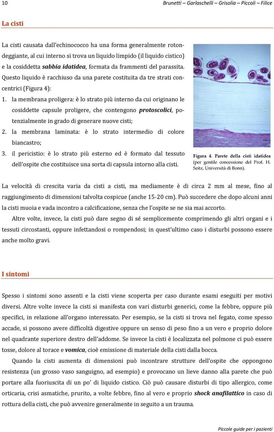 la membrana proligera: è lo strato più interno da cui originano le cosiddette capsule proligere, che contengono protoscolici, potenzialmente in grado di generare nuove cisti; 2.