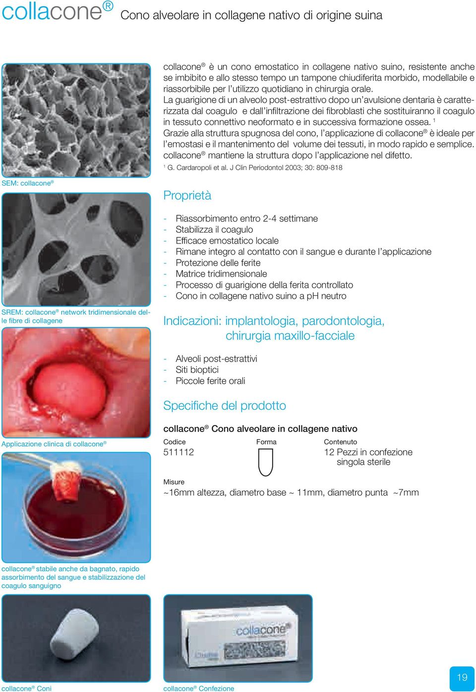 La guarigione di un alveolo post-estrattivo dopo un avulsione dentaria è caratterizzata dal coagulo e dall infiltrazione dei fibroblasti che sostituiranno il coagulo in tessuto connettivo neoformato