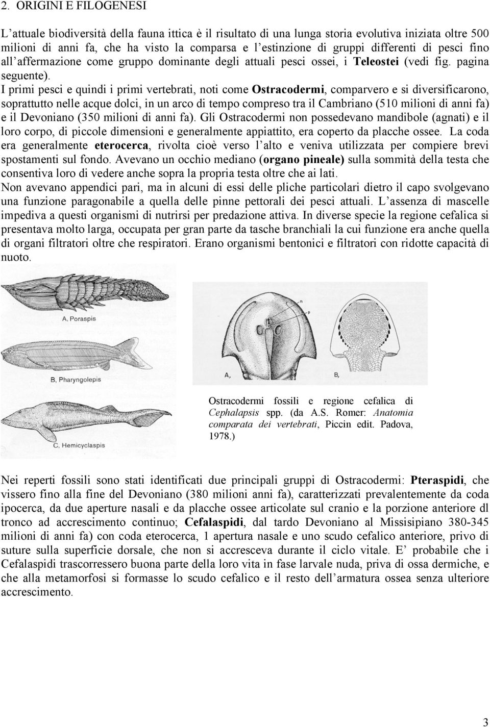 I primi pesci e quindi i primi vertebrati, noti come Ostracodermi, comparvero e si diversificarono, soprattutto nelle acque dolci, in un arco di tempo compreso tra il Cambriano (510 milioni di anni