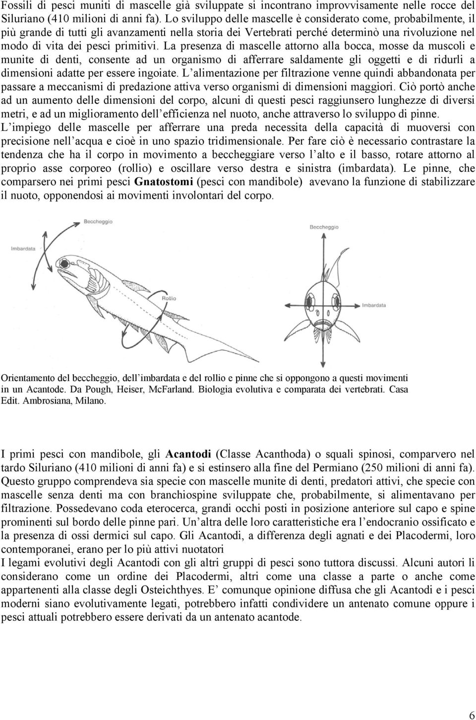 La presenza di mascelle attorno alla bocca, mosse da muscoli e munite di denti, consente ad un organismo di afferrare saldamente gli oggetti e di ridurli a dimensioni adatte per essere ingoiate.