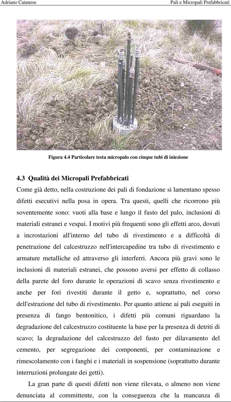 Tra questi, quelli che ricorrono più soventemente sono: vuoti alla base e lungo il fusto del palo, inclusioni di materiali estranei e vespai.