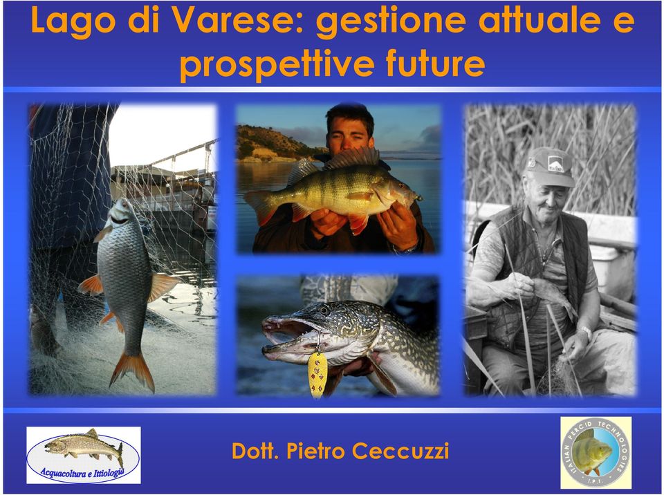 prospettive future