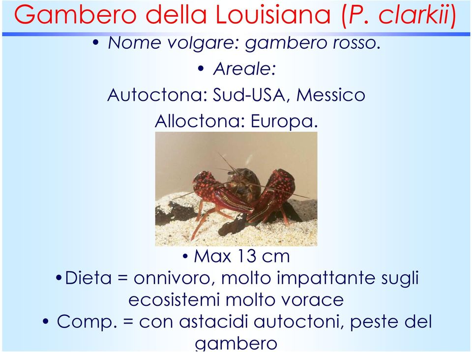 Areale: Autoctona: Sud-USA, Messico Alloctona: Europa.