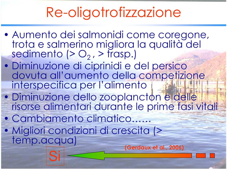 ) Diminuzione di ciprinidi e del persico dovuta all aumento della competizione interspecifica per l