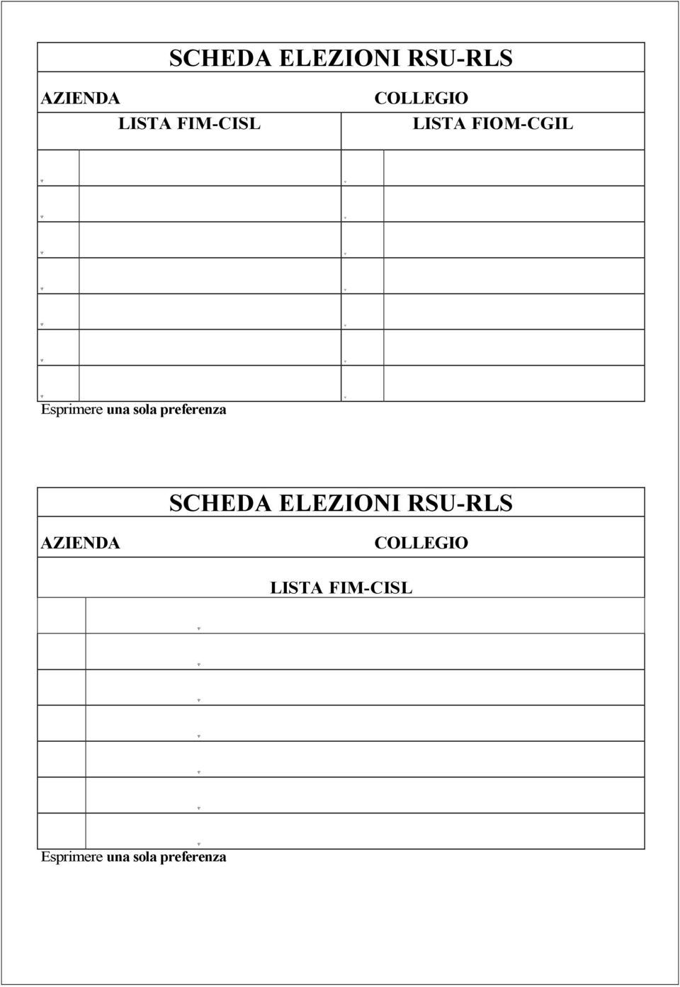 preferenza SCHEDA ELEZIONI RSU-RLS AZIENDA