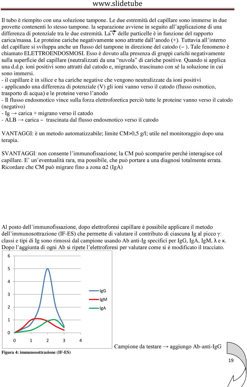 Le proteine cariche negativamente sono attratte dall anodo (+). Tuttavia all interno del capillare si sviluppa anche un flusso del tampone in direzione del catodo ( ).