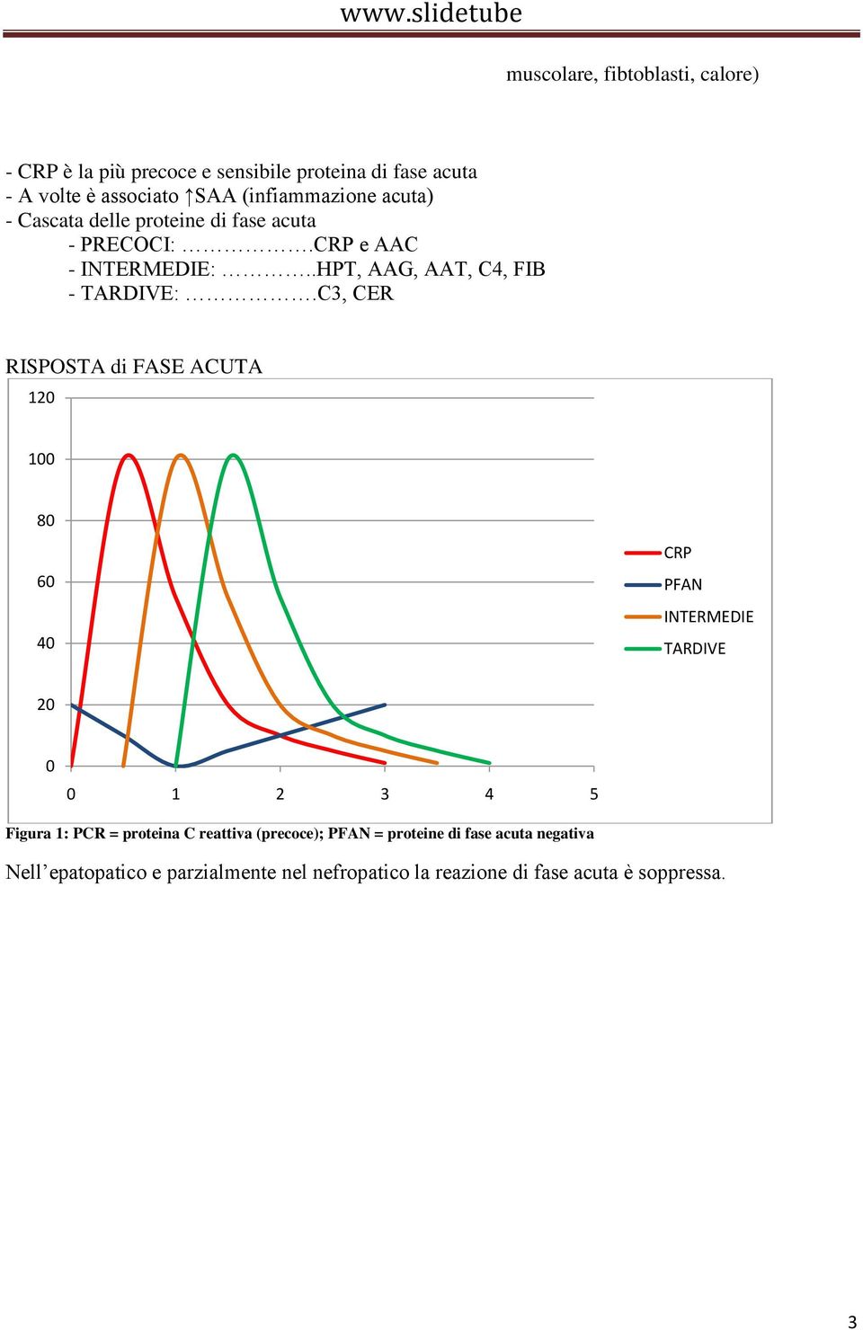 .HPT, AAG, AAT, C4, FIB - TARDIVE:.