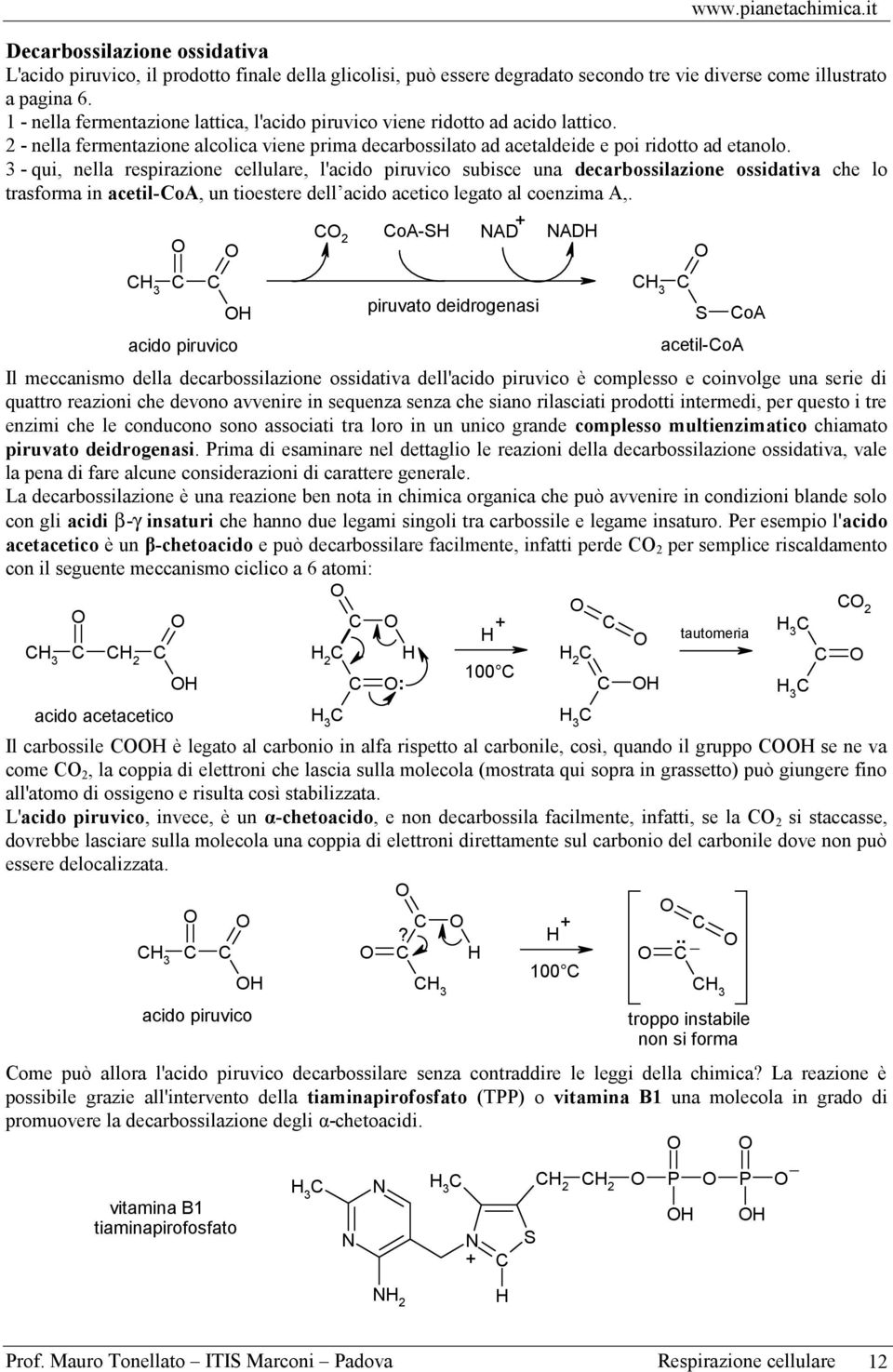 subisce una decarbossilazione ossidativa che lo trasforma in acetil-oa, un tioestere dell acido acetico legato al coenzima A, 3 acido piruvico 2 oa- AD AD piruvato deidrogenasi 3 acetil-oa Il