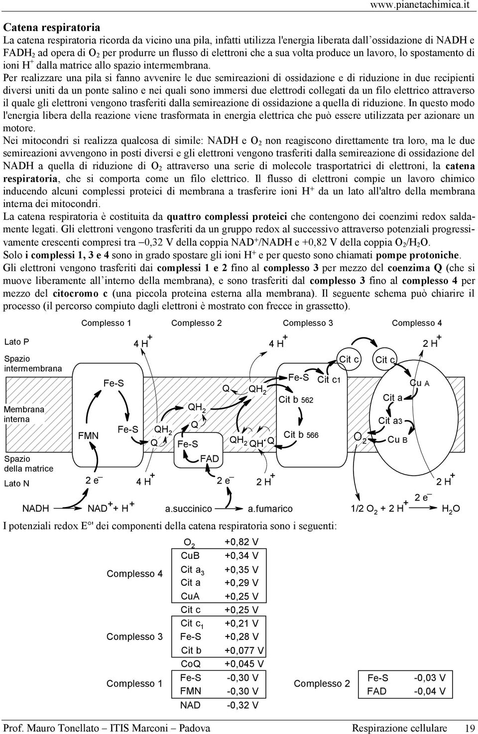 diversi uniti da un ponte salino e nei quali sono immersi due elettrodi collegati da un filo elettrico attraverso il quale gli elettroni vengono trasferiti dalla semireazione di ossidazione a quella