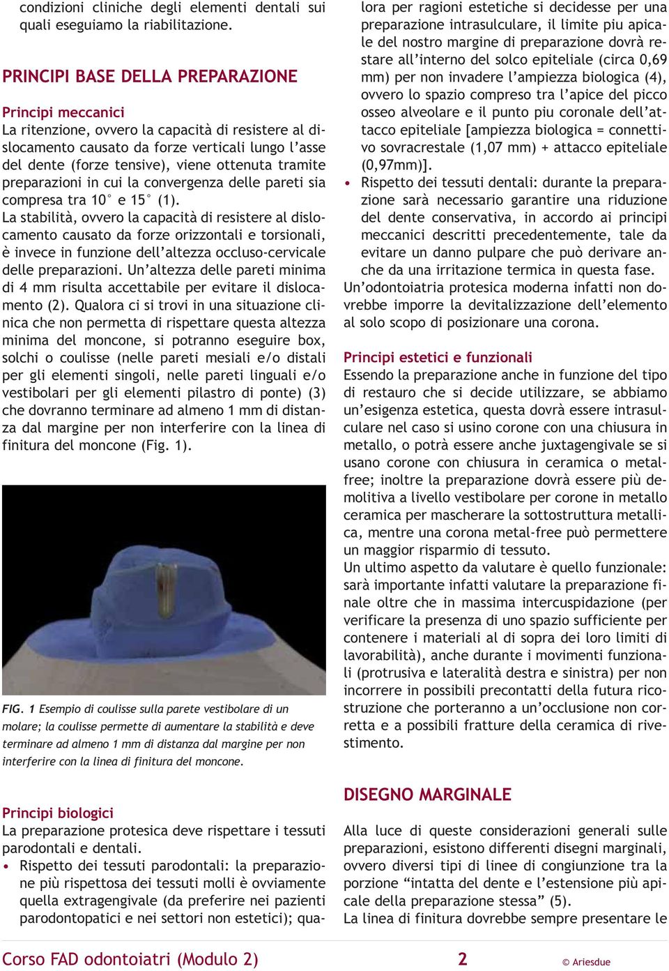 tramite preparazioni in cui la convergenza delle pareti sia compresa tra 10 e 15 (1).