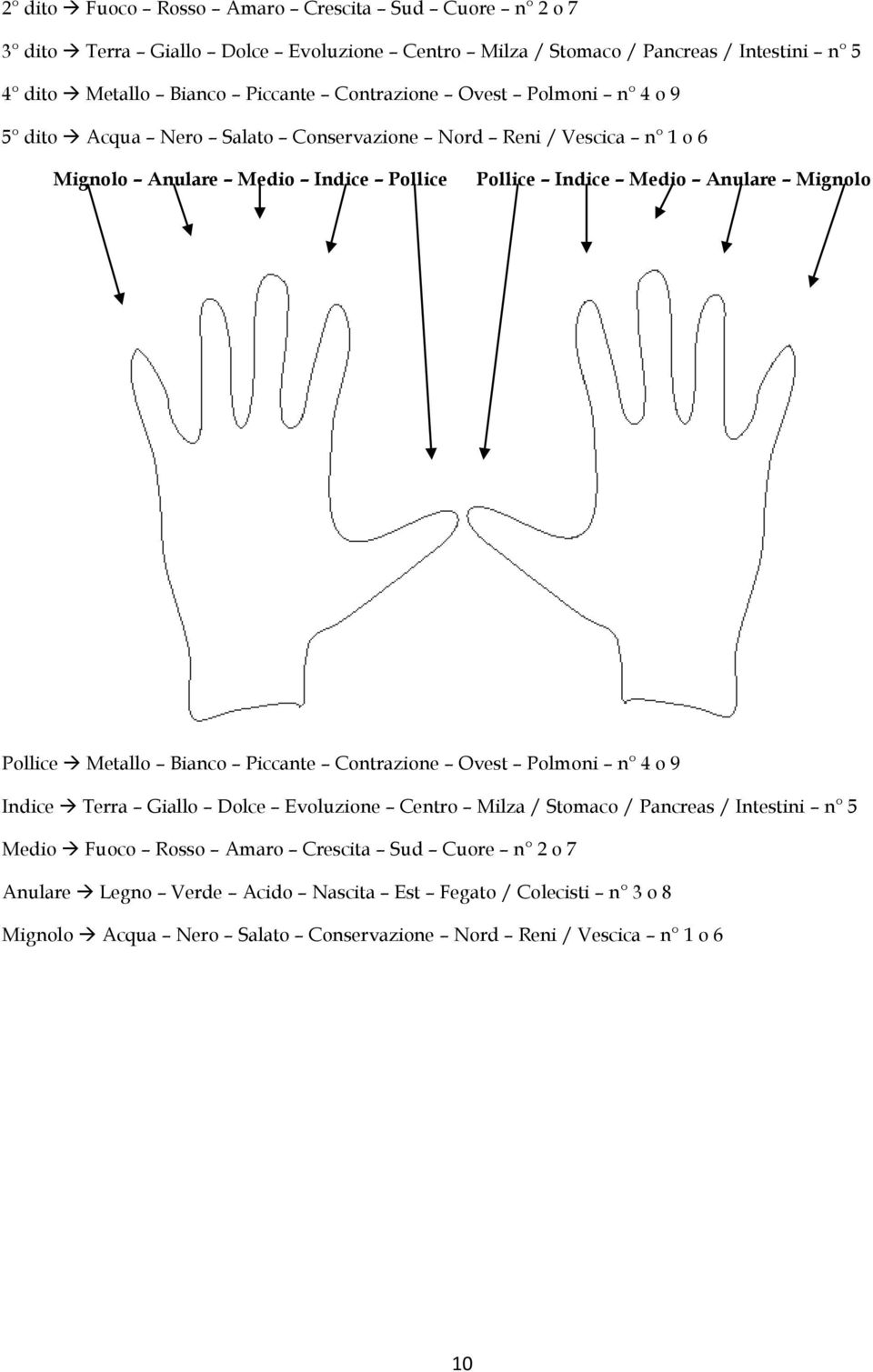 Mignolo Pollice Metallo Bianco Piccante Contrazione Ovest Polmoni n 4 o 9 Indice Terra Giallo Dolce Evoluzione Centro Milza / Stomaco / Pancreas / Intestini n 5 Medio