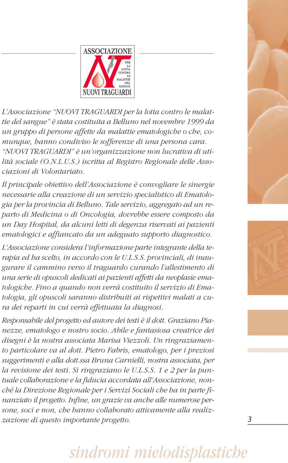 Il principale obiettivo dell Associazione è convogliare le sinergie necessarie alla creazione di un servizio specialistico di Ematologia per la provincia di Belluno.