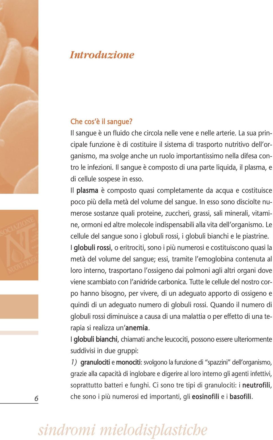 Il sangue è composto di una parte liquida, il plasma, e di cellule sospese in esso. Il plasma è composto quasi completamente da acqua e costituisce poco più della metà del volume del sangue.