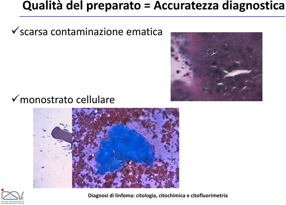 scarsa contaminazione