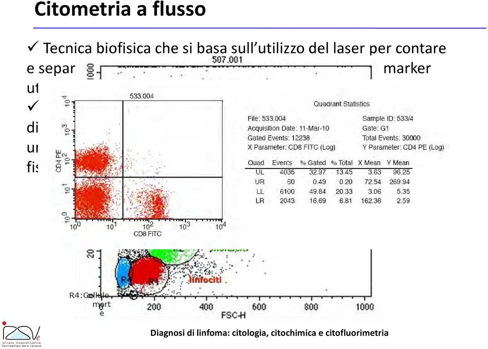 Le cellule in sospensione, fatte passare attraverso un fascio di fluido in un