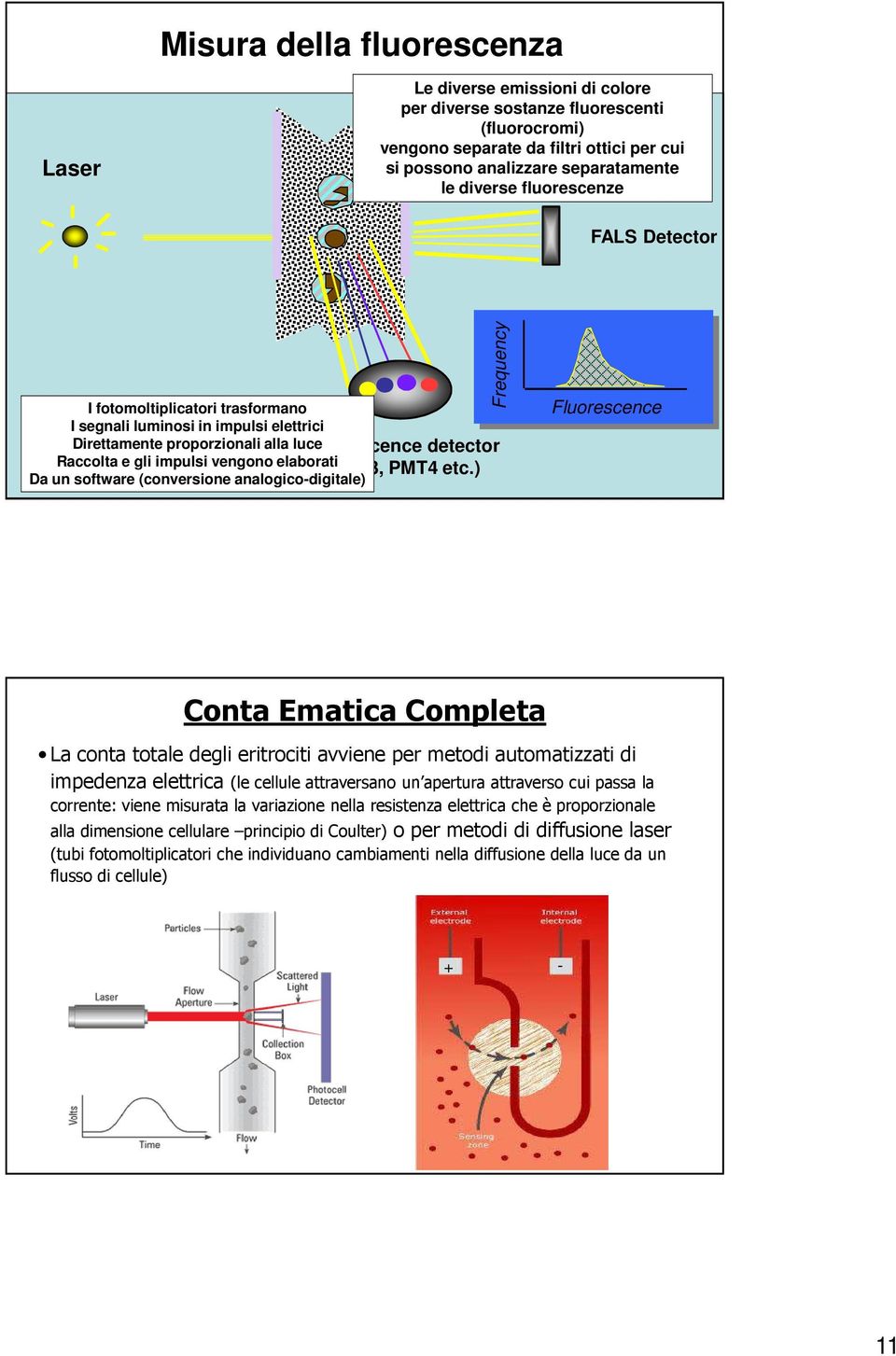 (PMT3, PMT4 etc.