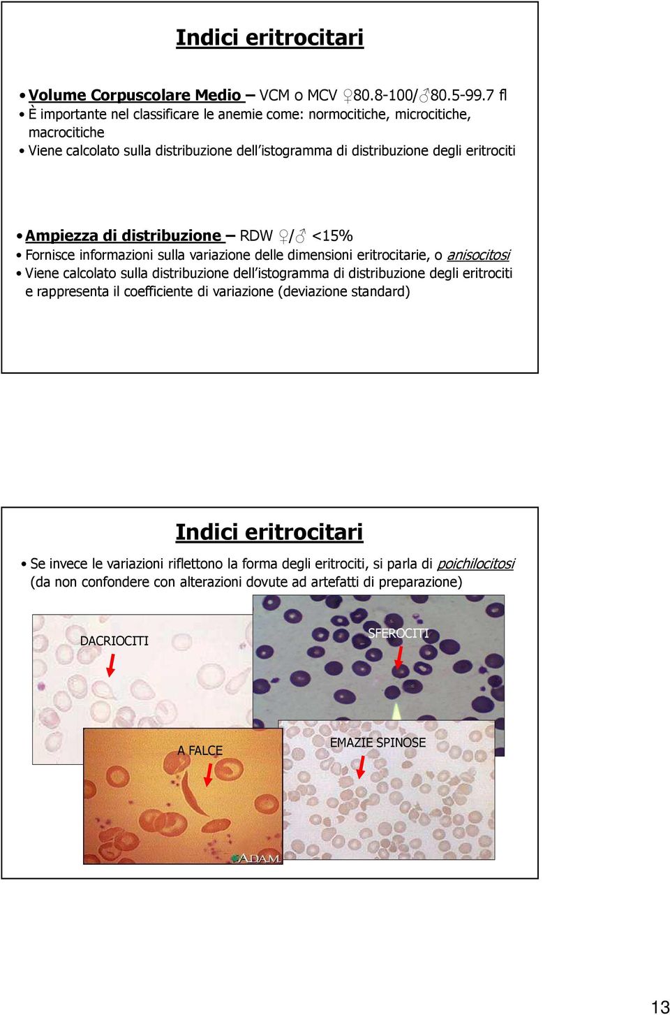 di distribuzione RDW / <15% Fornisce informazioni sulla variazione delle dimensioni eritrocitarie, o anisocitosi Viene calcolato sulla distribuzione dell istogramma di distribuzione degli
