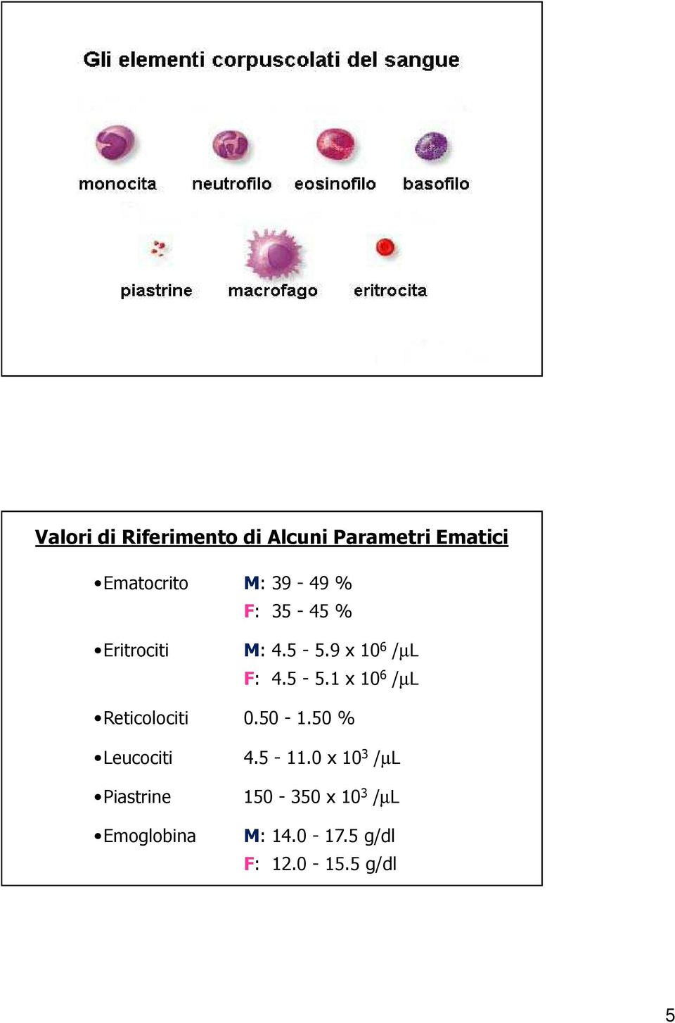 50-1.50 % Leucociti Piastrine Emoglobina 4.5-11.