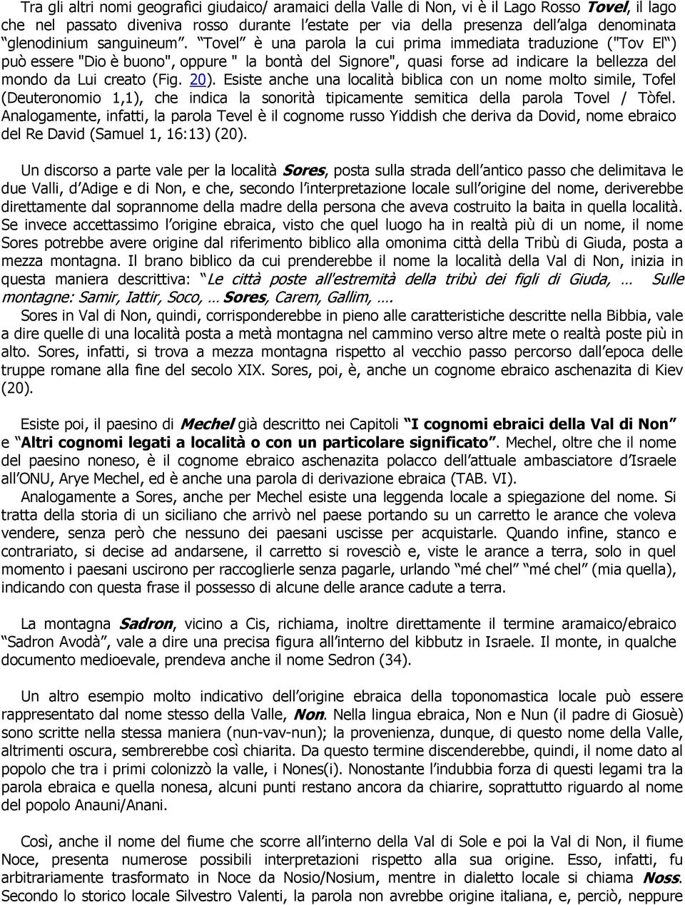 Tovel è una parola la cui prima immediata traduzione ("Tov El ) può essere "Dio è buono", oppure " la bontà del Signore", quasi forse ad indicare la bellezza del mondo da Lui creato (Fig. 20).