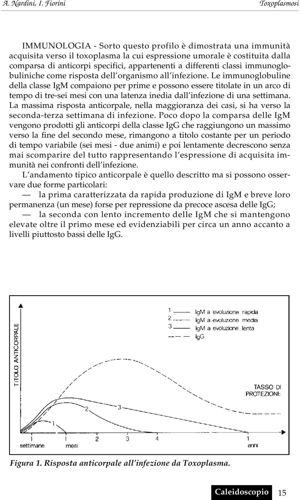 Le immunoglobuline della classe IgM compaiono per prime e possono essere titolate in un arco di tempo di tre-sei mesi con una latenza inedia dall infezione di una settimana.