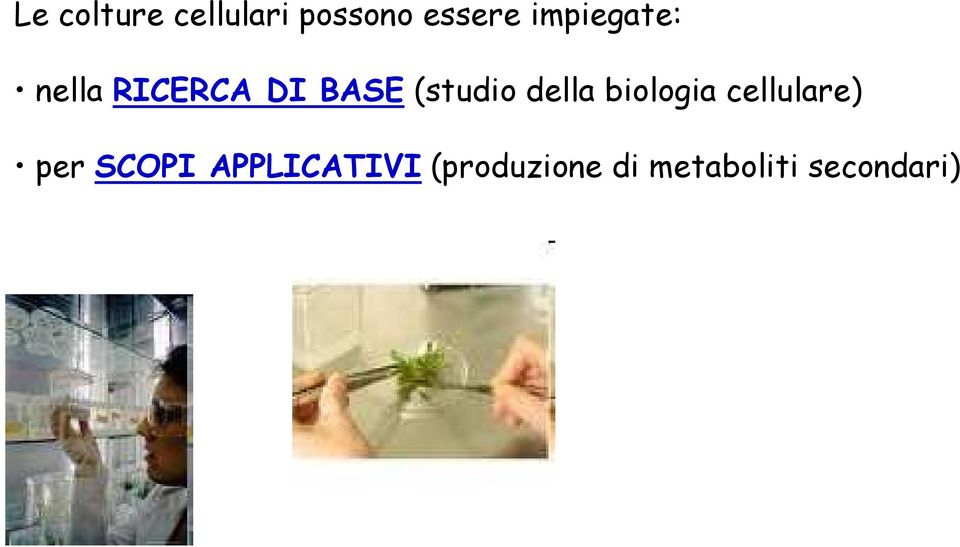 della biologia cellulare) per SCOPI