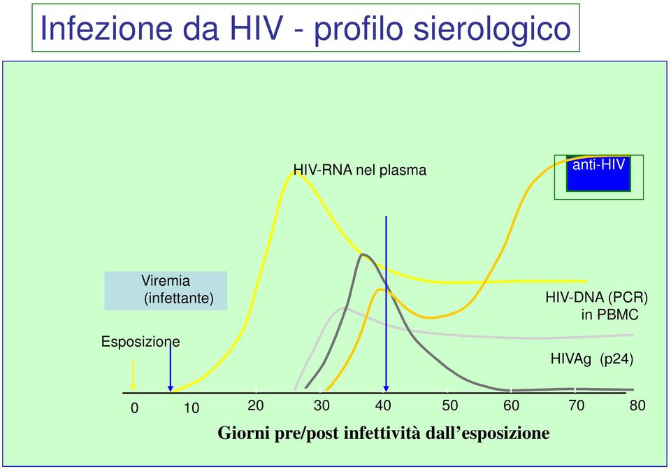 HIV-DNA (PCR) in PBMC HIVAg (p24) 0 10 20 30 40 50