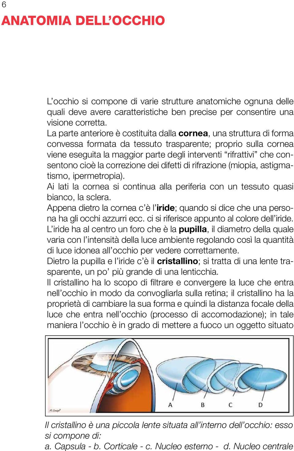 consentono cioè la correzione dei difetti di rifrazione (miopia, astigmatismo, ipermetropia). Ai lati la cornea si continua alla periferia con un tessuto quasi bianco, la sclera.