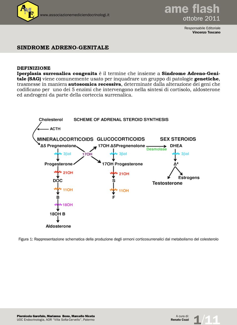 enzimi che intervengono nella sintesi di cortisolo, aldosterone ed androgeni da parte della corteccia surrenalica.