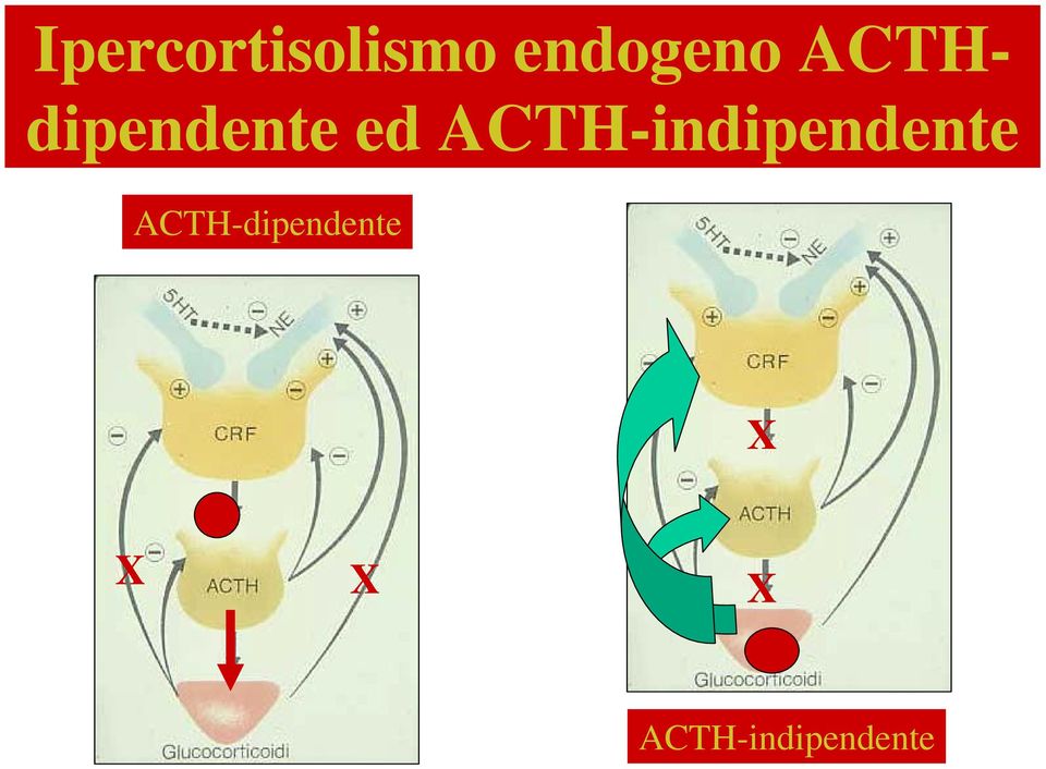 ACTH-indipendente