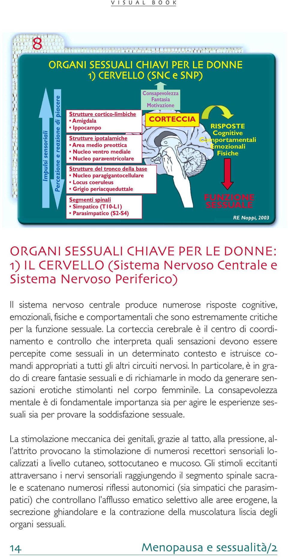 Parasimpatico (S2-S4) Consapevolezza Fantasia Motivazione CORTECCIA RISPOSTE Cognitive Comportamentali Emozionali Fisiche FUNZIONE SESSUALE RE Nappi, 2003 ORGANI SESSUALI CHIAVE PER LE DONNE: ) IL