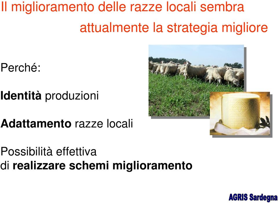 Identità produzioni Adattamento razze locali