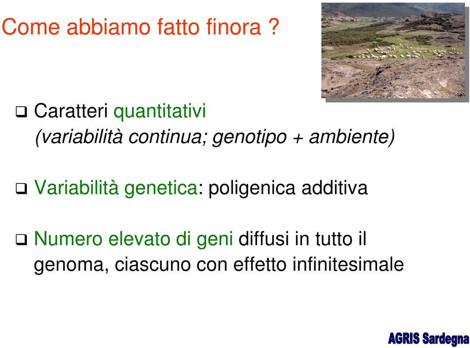 + ambiente) Variabilità genetica: poligenica additiva