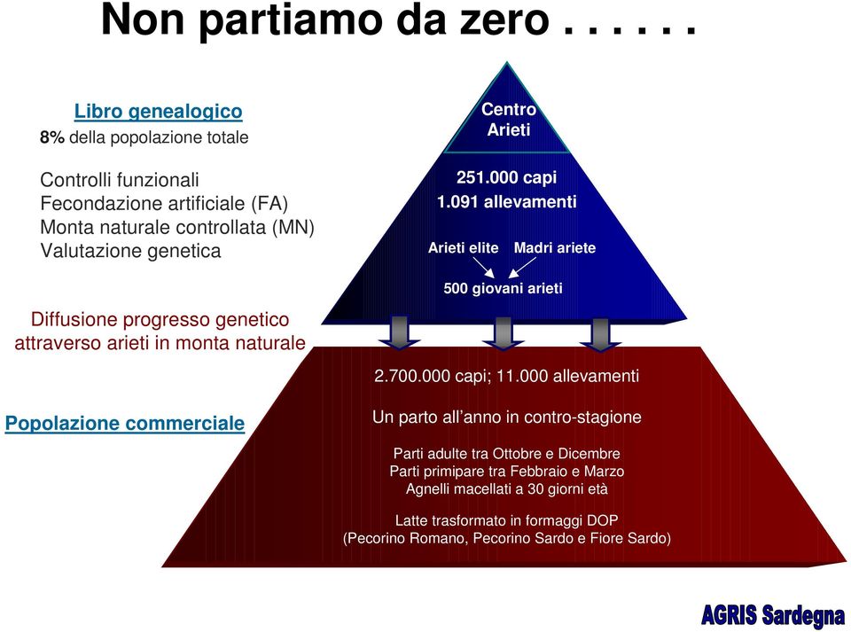 genetica Arieti elite Centro Arieti 251.000 capi 1.