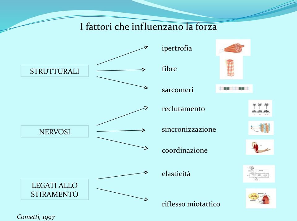 sincronizzazione coordinazione elasticità LEGATI