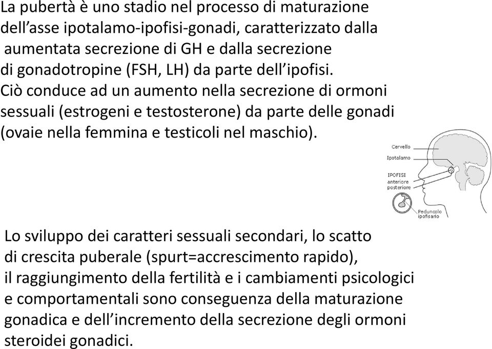 Ciò conduce ad un aumento nella secrezione di ormoni sessuali (estrogeni e testosterone) da parte delle gonadi (ovaie nella femmina e testicoli nel maschio).