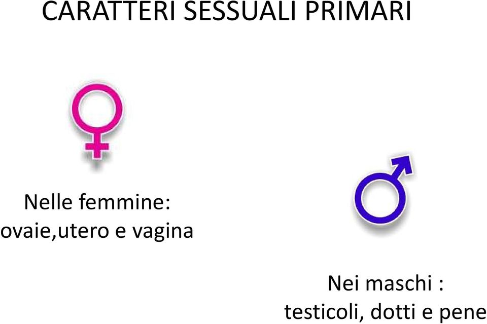 ovaie,utero e vagina Nei