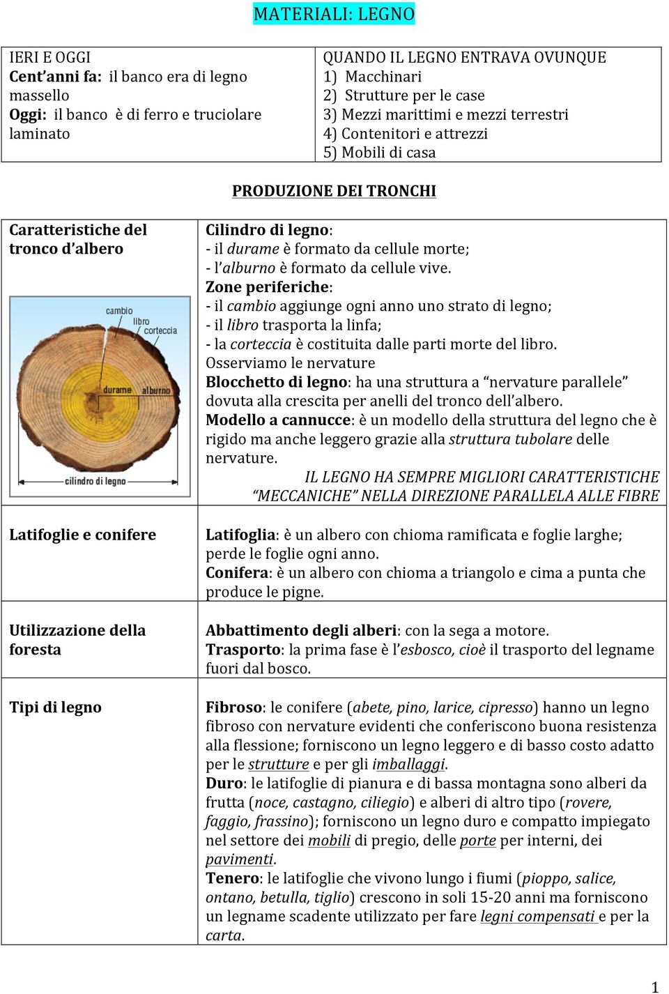 legno Cilindro di legno: - il durame è formato da cellule morte; - l alburno è formato da cellule vive.