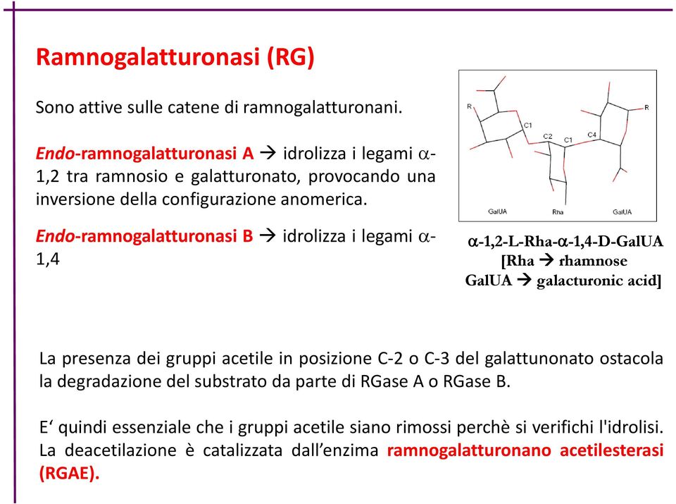 Endo-ramnogalatturonasi B idrolizza i legami - 1,4-1,2-L-Rha- -1,4-D-GalUA [Rha rhamnose GalUA galacturonic acid] La presenza dei gruppi acetile in posizione