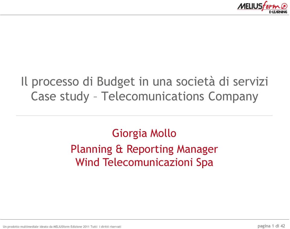 Company Giorgia Mollo Planning & Reporting
