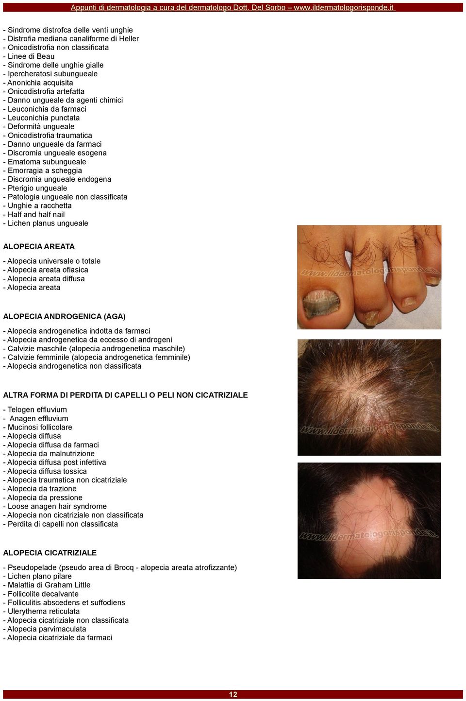 farmaci - Discromia ungueale esogena - Ematoma subungueale - Emorragia a scheggia - Discromia ungueale endogena - Pterigio ungueale - Patologia ungueale non classificata - Unghie a racchetta - Half